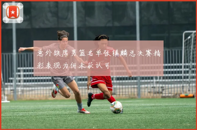 意外缺席男篮名单张镇麟总决赛精彩表现为何未获认可