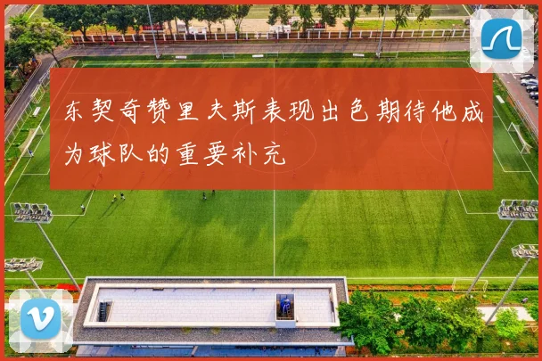 东契奇赞里夫斯表现出色期待他成为球队的重要补充